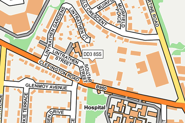 DD3 8SS map - OS OpenMap – Local (Ordnance Survey)