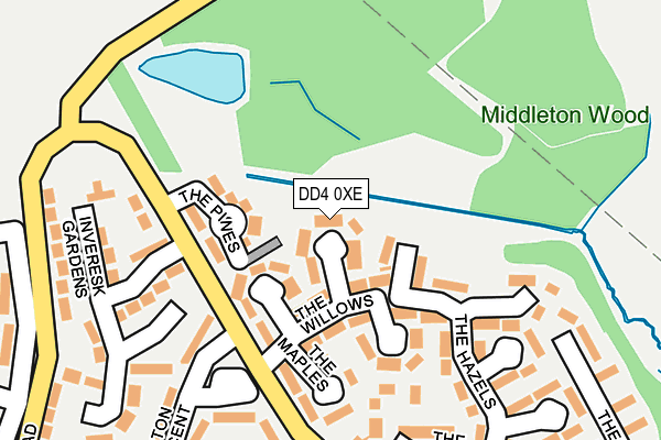 DD4 0XE map - OS OpenMap – Local (Ordnance Survey)