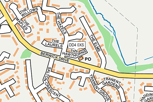 DD4 0XS map - OS OpenMap – Local (Ordnance Survey)