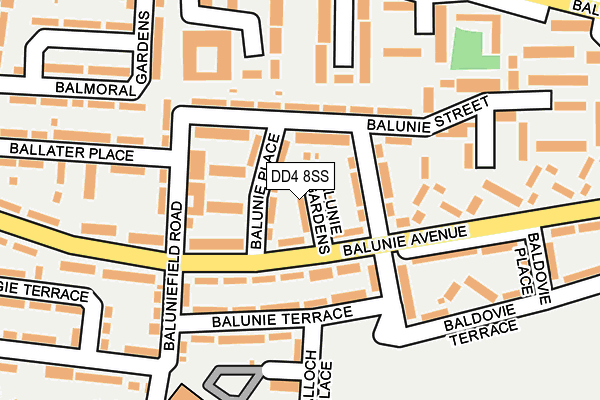 DD4 8SS map - OS OpenMap – Local (Ordnance Survey)