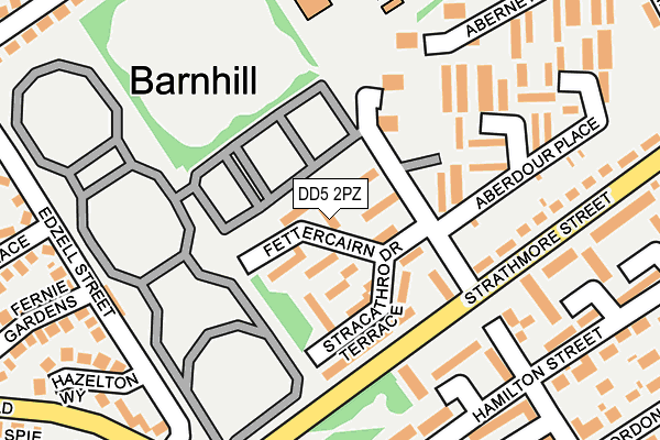 DD5 2PZ map - OS OpenMap – Local (Ordnance Survey)