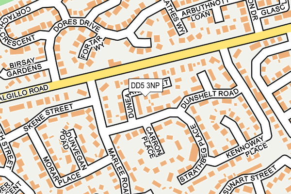 DD5 3NP map - OS OpenMap – Local (Ordnance Survey)
