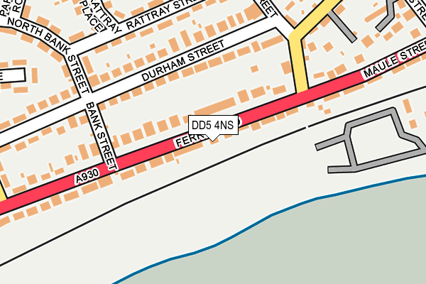 DD5 4NS map - OS OpenMap – Local (Ordnance Survey)