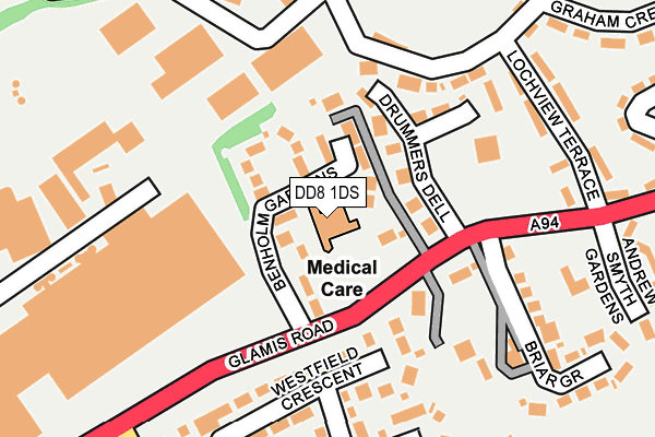 DD8 1DS map - OS OpenMap – Local (Ordnance Survey)