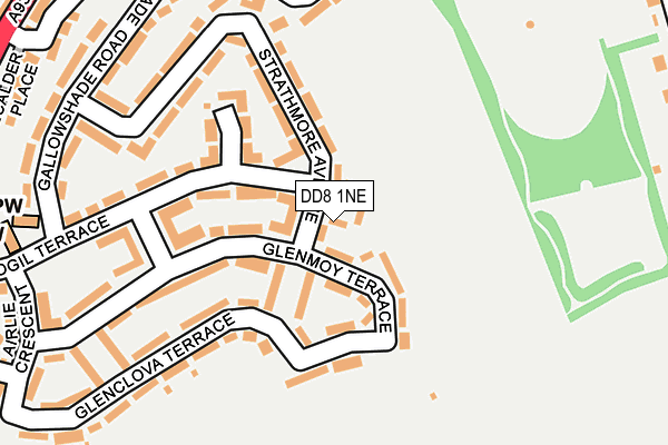 DD8 1NE map - OS OpenMap – Local (Ordnance Survey)
