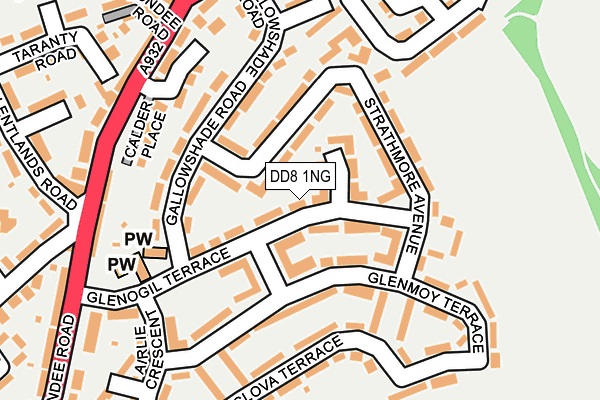 DD8 1NG map - OS OpenMap – Local (Ordnance Survey)
