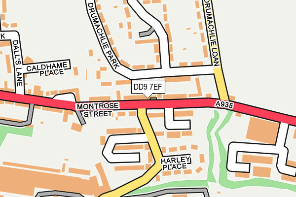 DD9 7EF map - OS OpenMap – Local (Ordnance Survey)