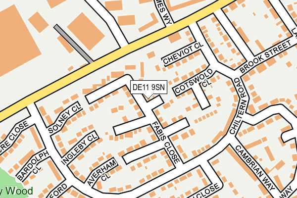 DE11 9SN map - OS OpenMap – Local (Ordnance Survey)