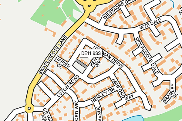 DE11 9SS map - OS OpenMap – Local (Ordnance Survey)