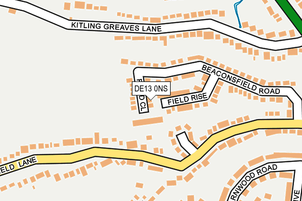 DE13 0NS map - OS OpenMap – Local (Ordnance Survey)