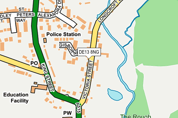 DE13 8NG map - OS OpenMap – Local (Ordnance Survey)