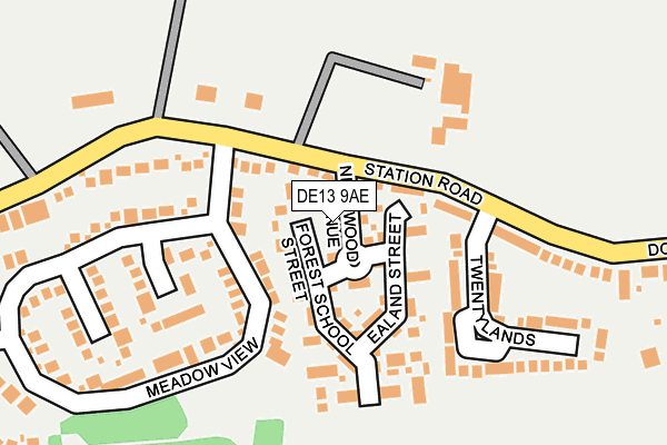 DE13 9AE map - OS OpenMap – Local (Ordnance Survey)