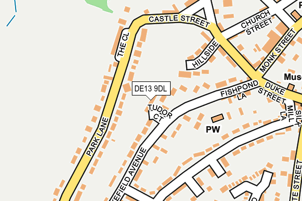DE13 9DL map - OS OpenMap – Local (Ordnance Survey)