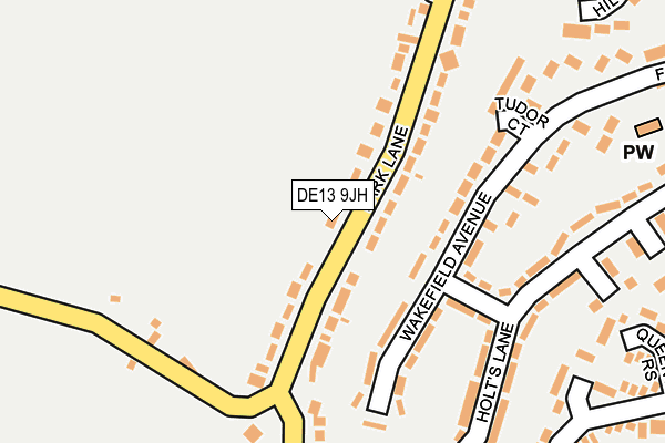 DE13 9JH map - OS OpenMap – Local (Ordnance Survey)