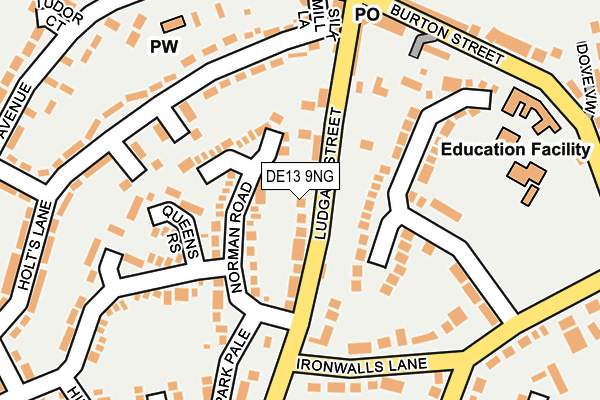 DE13 9NG map - OS OpenMap – Local (Ordnance Survey)