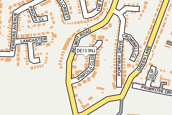 DE13 9NJ map - OS OpenMap – Local (Ordnance Survey)