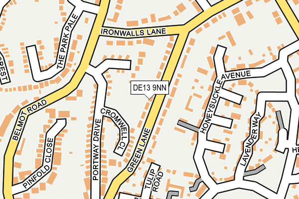 DE13 9NN map - OS OpenMap – Local (Ordnance Survey)