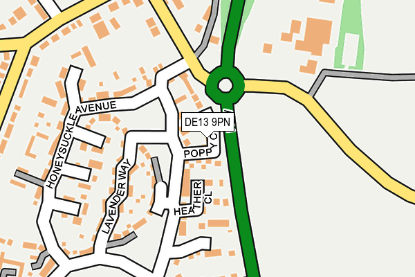 DE13 9PN map - OS OpenMap – Local (Ordnance Survey)