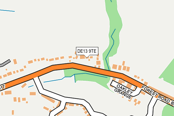 DE13 9TE map - OS OpenMap – Local (Ordnance Survey)