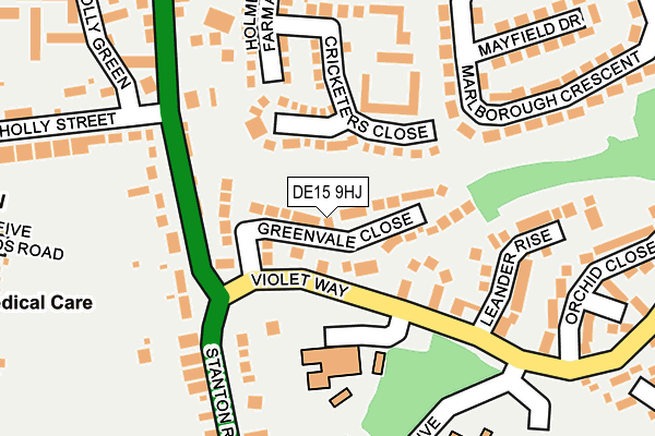DE15 9HJ map - OS OpenMap – Local (Ordnance Survey)