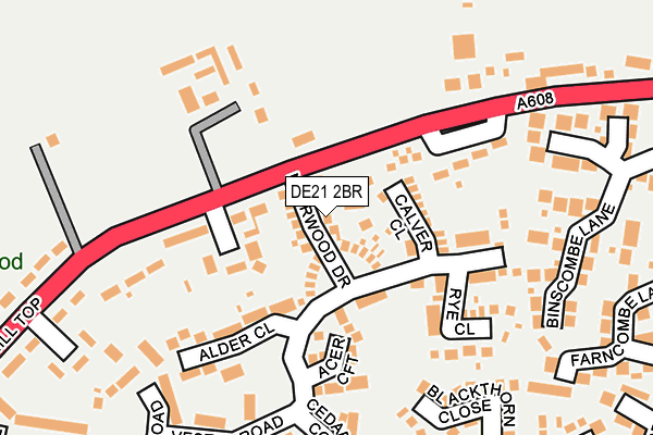 DE21 2BR map - OS OpenMap – Local (Ordnance Survey)