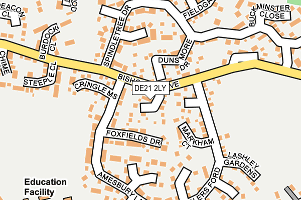 DE21 2LY map - OS OpenMap – Local (Ordnance Survey)