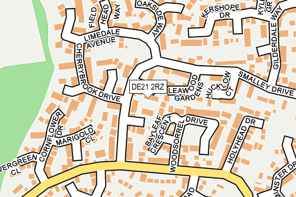 DE21 2RZ map - OS OpenMap – Local (Ordnance Survey)