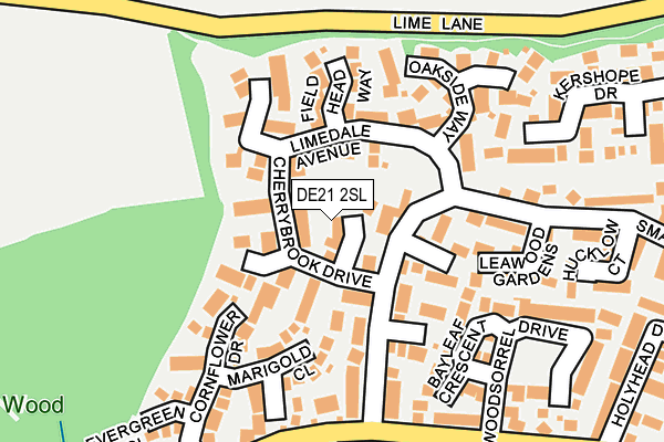DE21 2SL map - OS OpenMap – Local (Ordnance Survey)