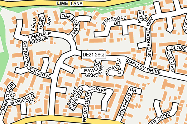 DE21 2SQ map - OS OpenMap – Local (Ordnance Survey)