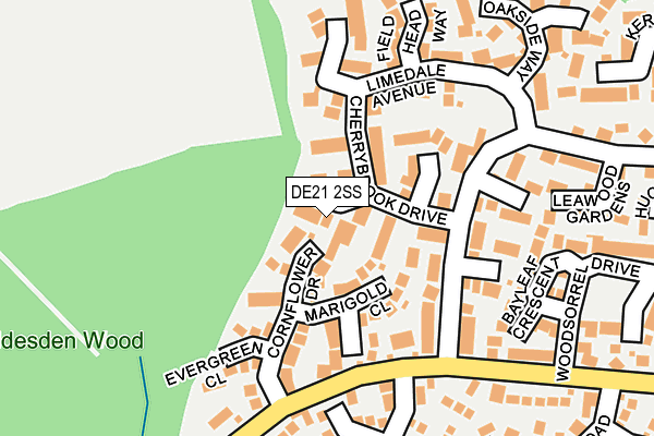 DE21 2SS map - OS OpenMap – Local (Ordnance Survey)