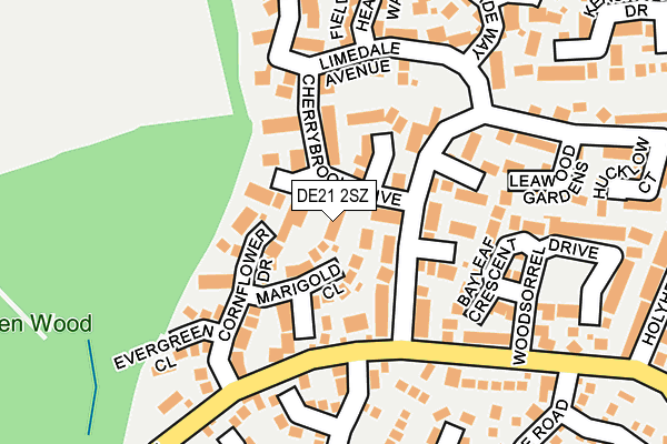 DE21 2SZ map - OS OpenMap – Local (Ordnance Survey)