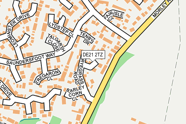 DE21 2TZ map - OS OpenMap – Local (Ordnance Survey)