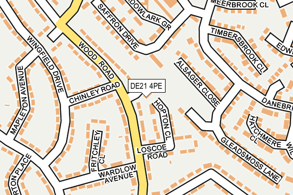 DE21 4PE map - OS OpenMap – Local (Ordnance Survey)