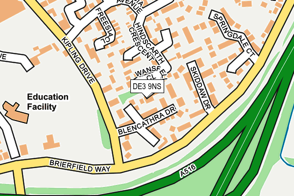 DE3 9NS map - OS OpenMap – Local (Ordnance Survey)