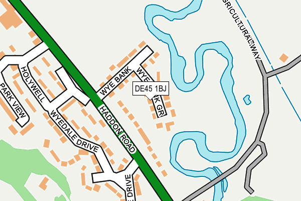 DE45 1BJ map - OS OpenMap – Local (Ordnance Survey)