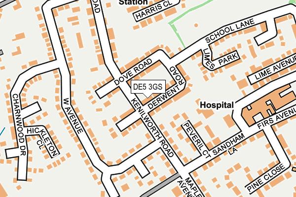 DE5 3GS map - OS OpenMap – Local (Ordnance Survey)