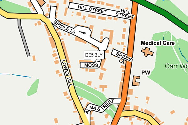 DE5 3LY map - OS OpenMap – Local (Ordnance Survey)
