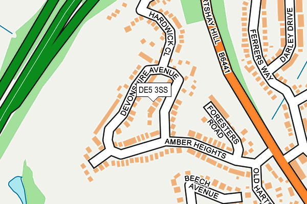 DE5 3SS map - OS OpenMap – Local (Ordnance Survey)