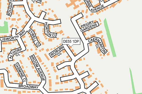 DE55 1DP map - OS OpenMap – Local (Ordnance Survey)