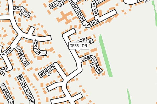 DE55 1DR map - OS OpenMap – Local (Ordnance Survey)