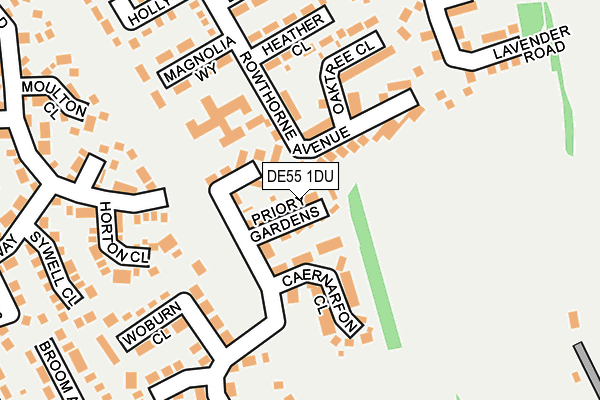 DE55 1DU map - OS OpenMap – Local (Ordnance Survey)