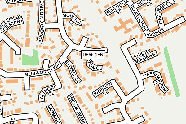 DE55 1EN map - OS OpenMap – Local (Ordnance Survey)
