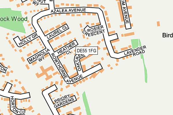 DE55 1FG map - OS OpenMap – Local (Ordnance Survey)