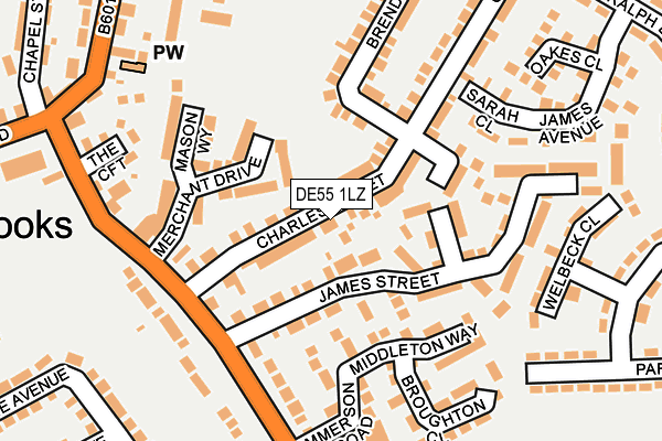 DE55 1LZ map - OS OpenMap – Local (Ordnance Survey)