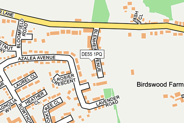 DE55 1PQ map - OS OpenMap – Local (Ordnance Survey)