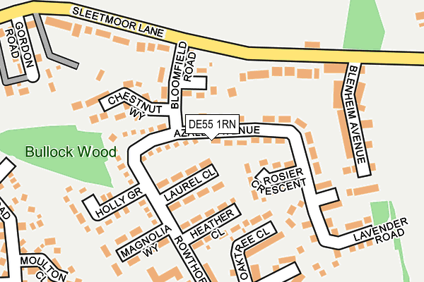 DE55 1RN map - OS OpenMap – Local (Ordnance Survey)