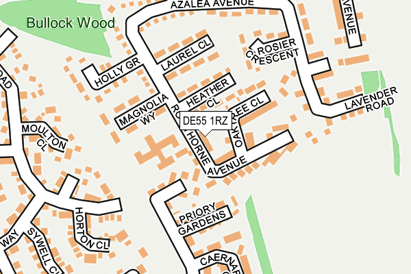 DE55 1RZ map - OS OpenMap – Local (Ordnance Survey)