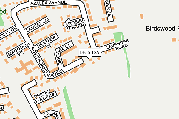 DE55 1SA map - OS OpenMap – Local (Ordnance Survey)