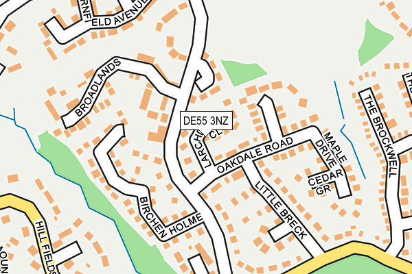 DE55 3NZ map - OS OpenMap – Local (Ordnance Survey)