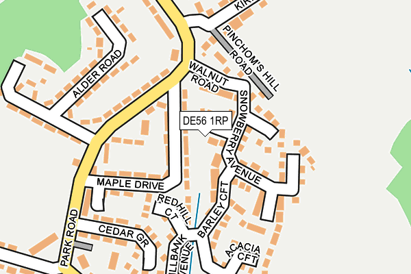 DE56 1RP map - OS OpenMap – Local (Ordnance Survey)